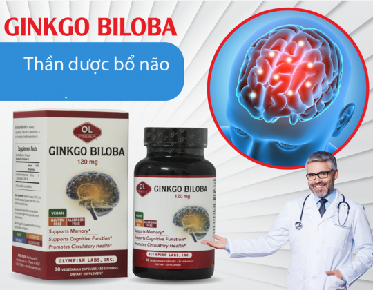 Ginkgo Biloba 120mg 30 viên có công dụng tăng cường tuần hoàn não như lời đồn?