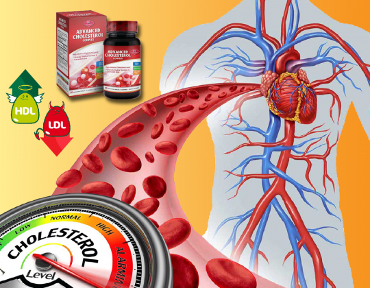 Advanced Cholesterol Complex - Lựa chọn tốt nhất cho bệnh nhân mỡ máu cao