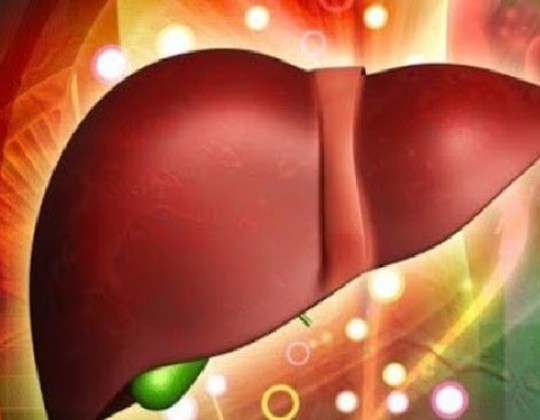 Olympian Labs Liver Detox - "Người hùng" giải độc gan, tăng cường chức năng gan đến từ nước Mỹ