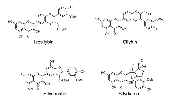 Công thức cấu tạo nên Silymarin